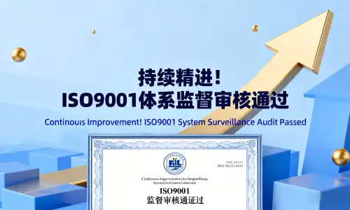 Continuous Improvement! ISO9001 System Supervision and Audit Passed
